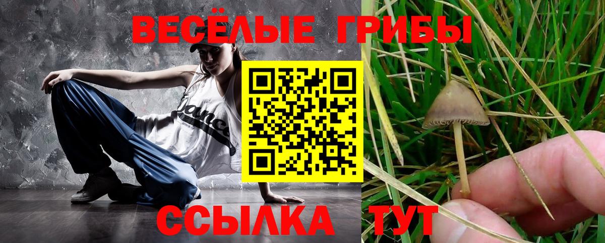 Галлюциногенные грибы мухоморы  Вход с VPN  как найти закладки  Галлюциногенные грибы Cubensis  Гусиноозёрск 
